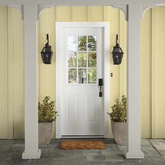Lemony - Exterior Paint