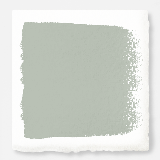 Day - To - Day - Trim, Door + Cabinetry Paint