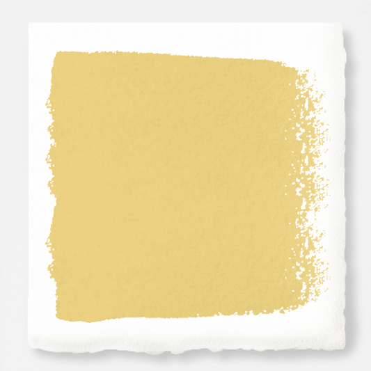 Amber - Trim, Door + Cabinetry Paint