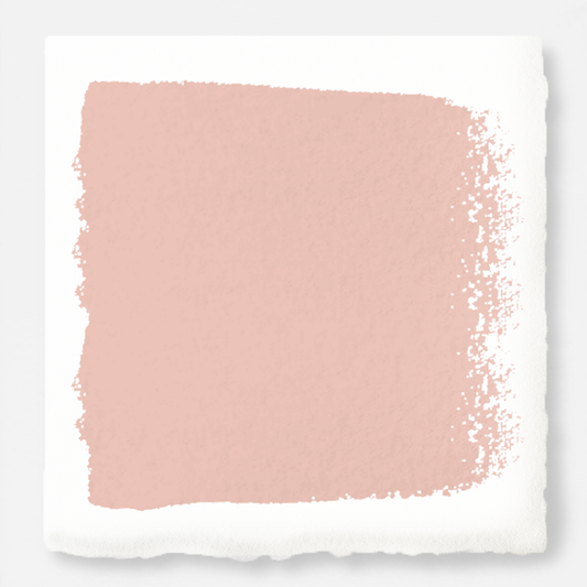 Cabbage Rose - Exterior Paint