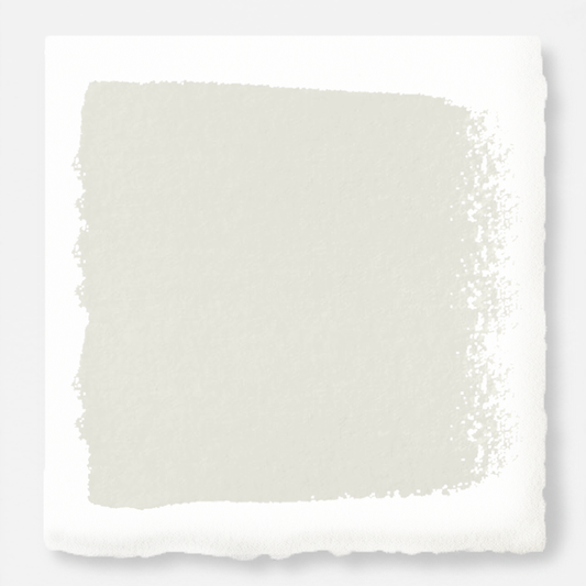 Shiplap - Exterior Paint